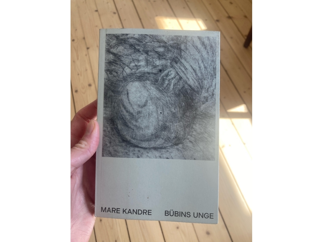 Bübins Unge | Mare Kandre