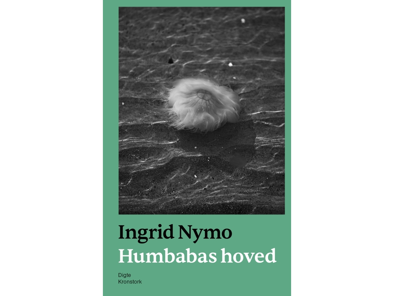 Humbabas Hoved | Ingrid Nymo