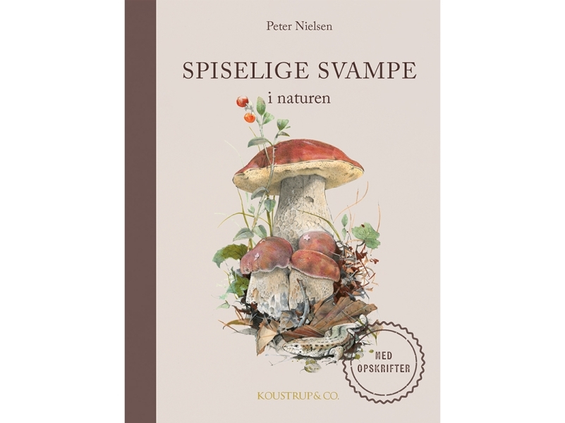 Spiselige svampe | Peter Nielsen