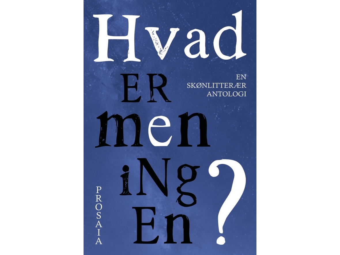 Hvad Er Meningen? |