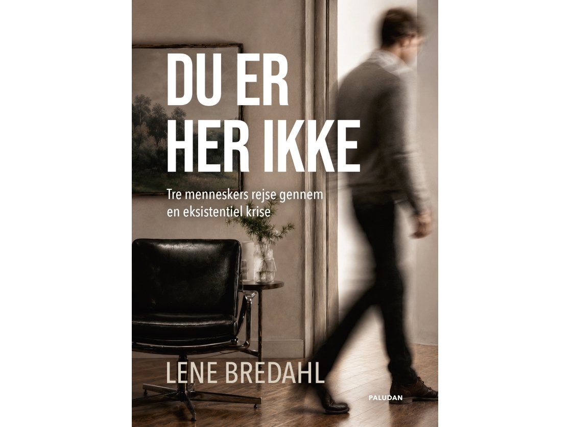 Du Er Her Ikke | Lene Brehdahl