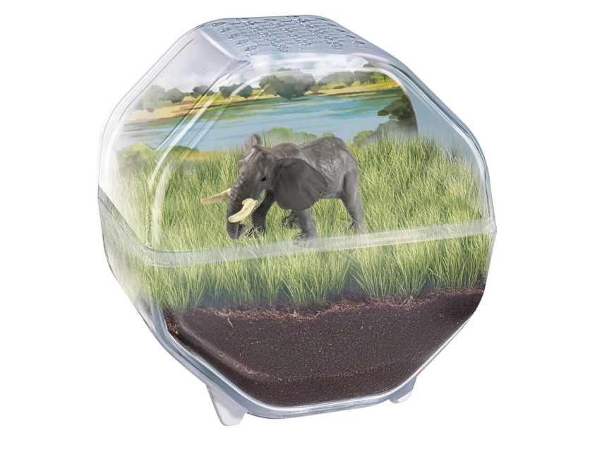 Clementoni - Science & Play - My Wild Terrarium - Elephant