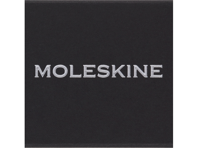 Moleskine Pins S Silber