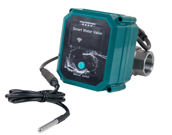 Frankever Smart Water Valve Dn25, 1