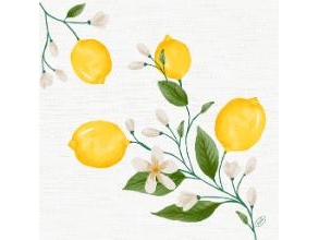 Serviet Dunisoft 40 X 40 Cm Lemon Fiesta,6 Pk X 60 Stk/Krt