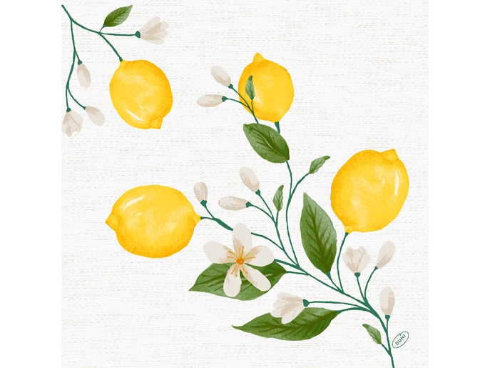 Duni Lemon Fiesta, Weiß, Papier, Abbildung, 400 Mm, 400 Mm, 60 Stück(E)