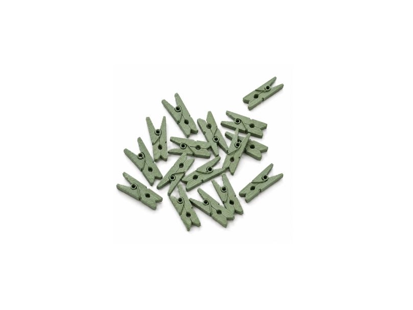 Oliven Mini Klemmer, 24 Stk