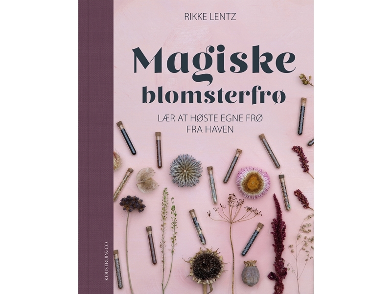 Magiske blomsterfrø | Rikke Lentz
