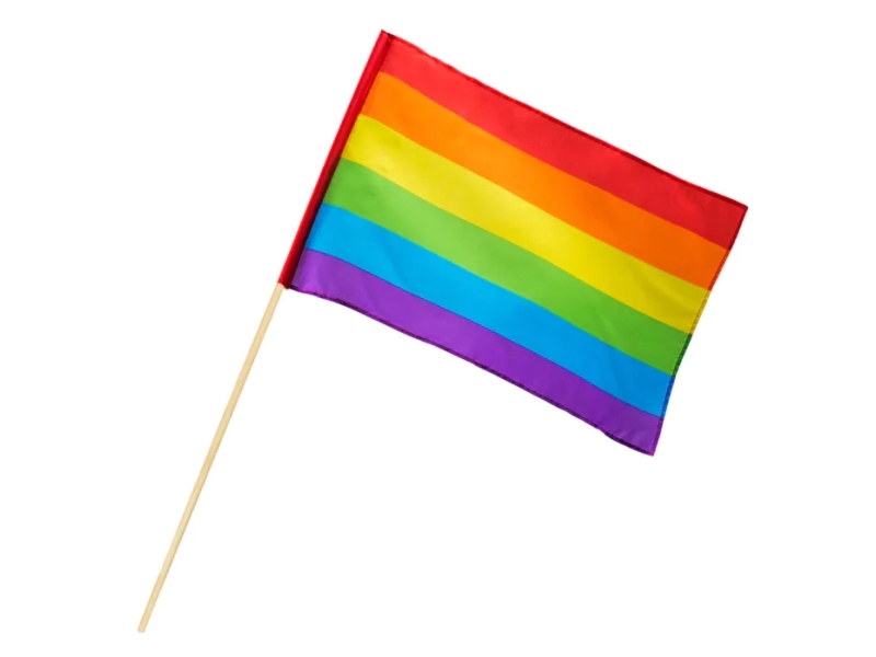 Regnbue Flag På Pind