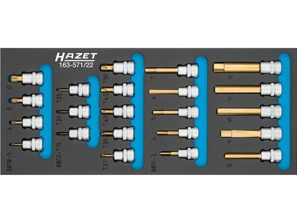 Hazet 163-571/22, 22 Stk