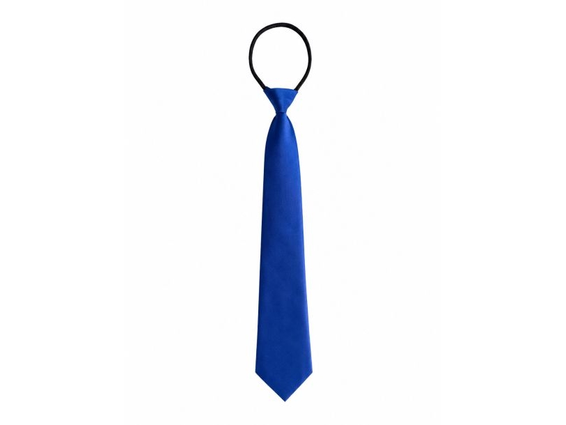 Blaues Fliege