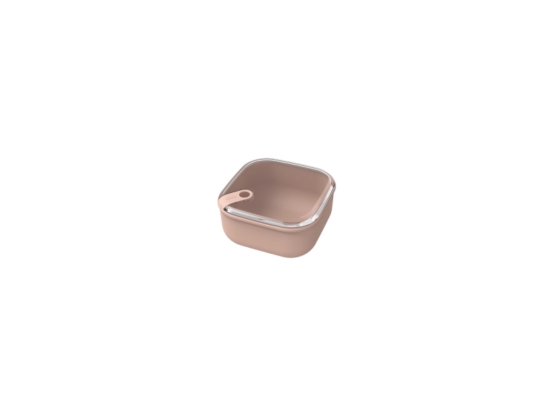 Rotho 1057003071Ws, Container, Quadratisch, 0,425 L, Rose, Kunststoff, 120 Mm