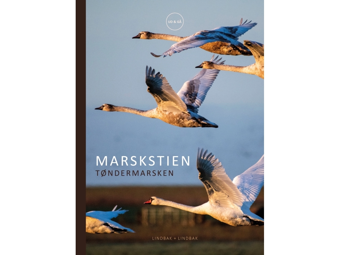 Marskstien | Nicole Wolter