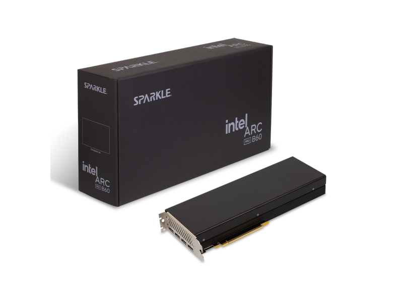 Sparkle Intel Arc - Grafikkort - Hdmi