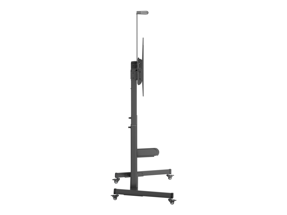 Gembird Tvs-100T-03, 2,54 M (100"), 200 X 200 Mm, 1000 X 600 Mm, 5 - -10°, Stahl, Schwarz