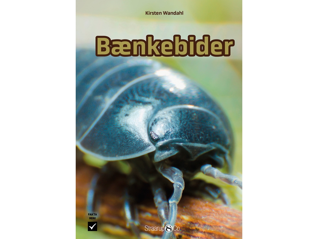Bænkebider | Kirsten Wandahl