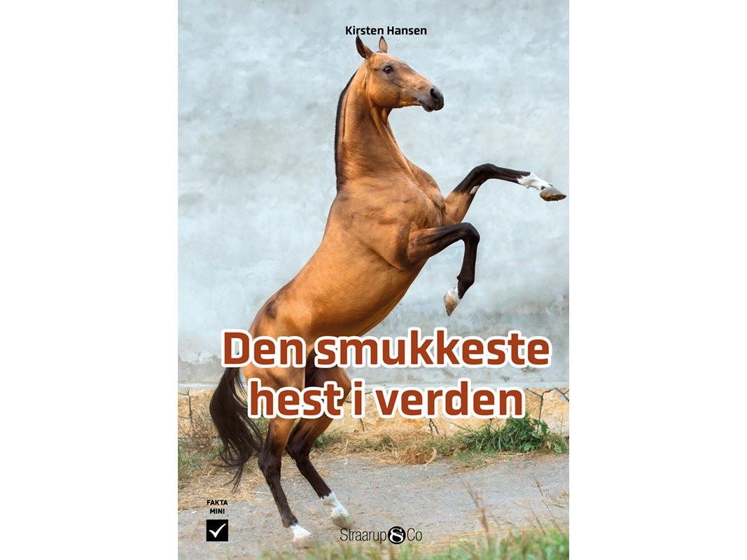 Den Smukkeste Hest I Verden | Kirsten Hansen