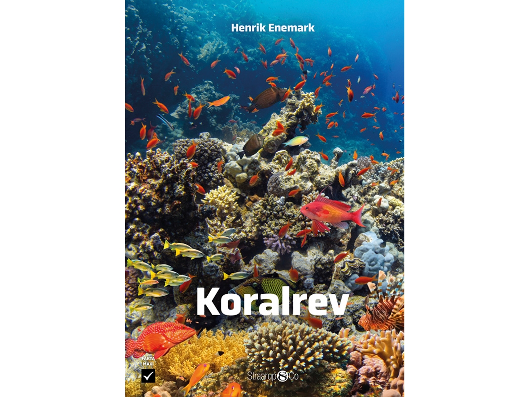 Koralrev | Henrik Enemark
