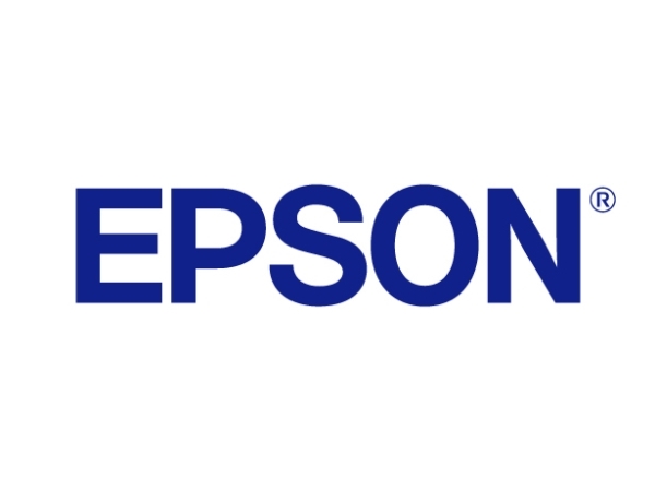 Epson 250 - Lys cyan - original - blister med RF/akustisk alarm - blækpatron - for P/N: C11CL95401, C11CL95402