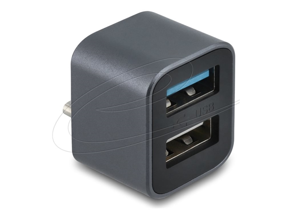 Delock Mini Usb Hub Usb Type-C Stecker Zu 1 X Usb 10 Gbps Usb Typ-A Und 1 X Usb 2.0 Typ-A (64359)