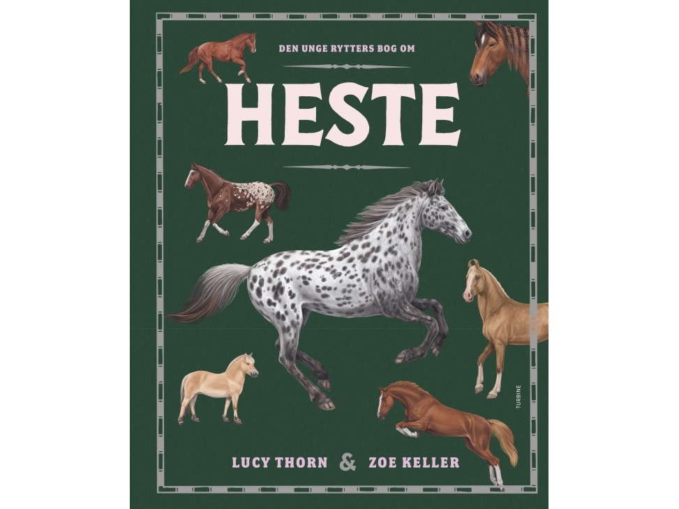 Den Unge Rytters Bog Om Heste | Lucy Thorn