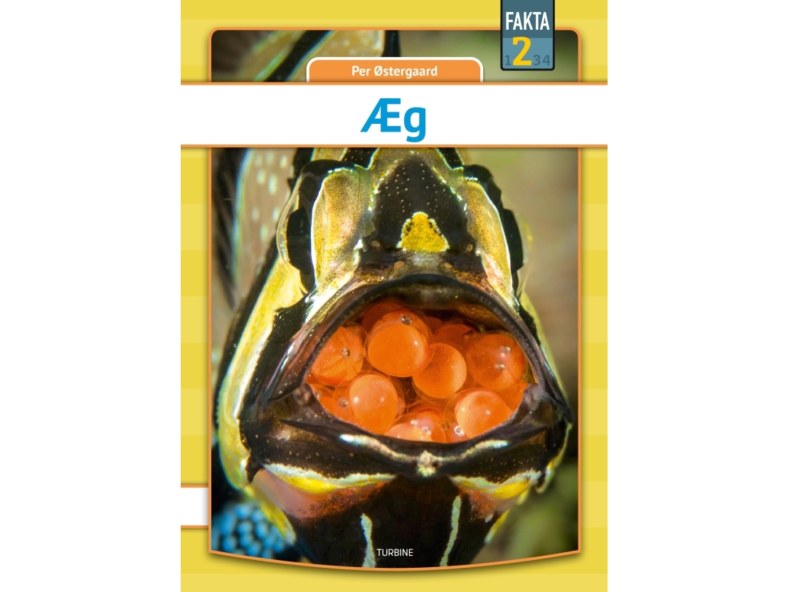 Æg | Per Østergaard