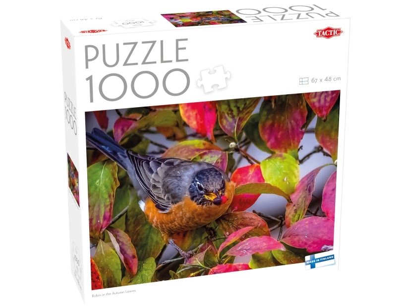 1000 Pcs Puzzle: Robin In The Autumn Leaves