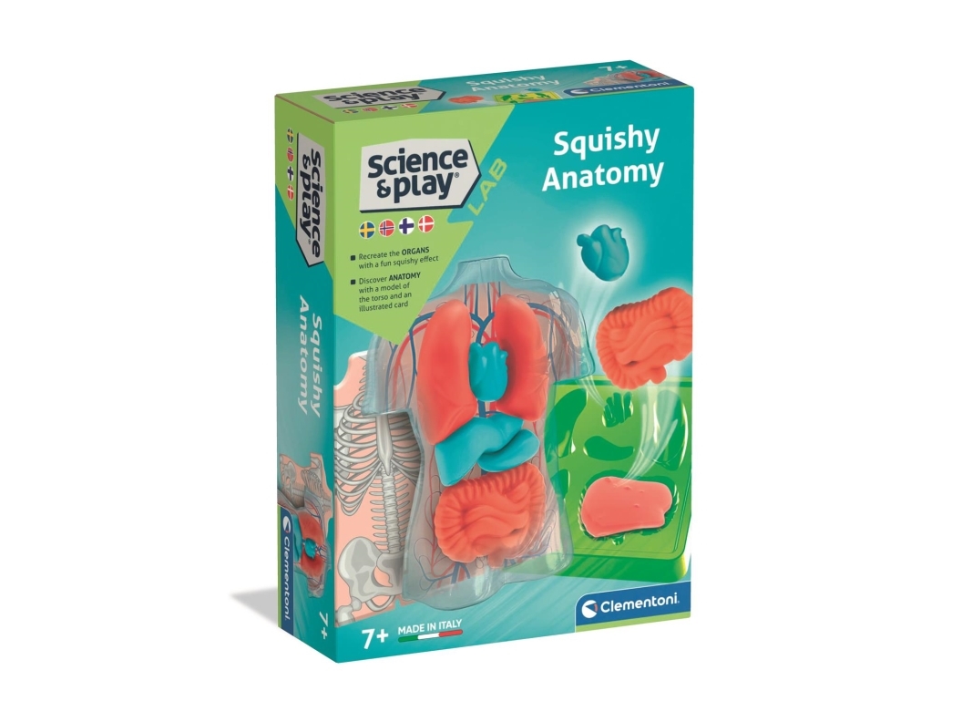 Clementoni Mini Squishy Organs