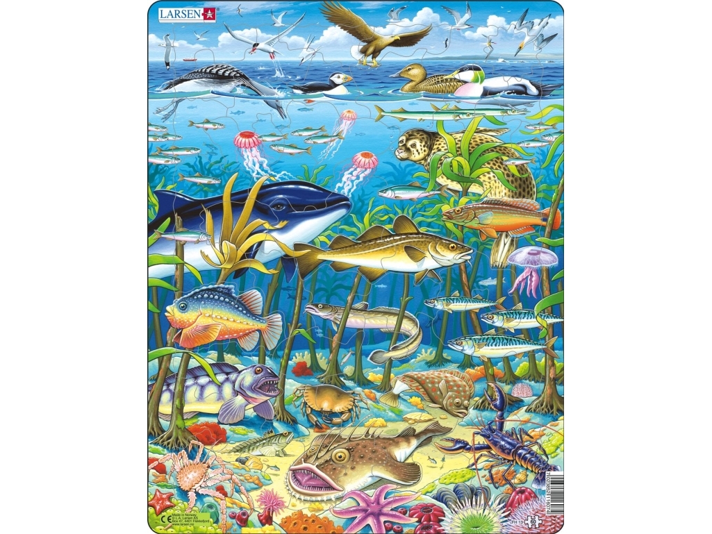 Puzzle „Das Leben Im Nordatlantik“ – 60 Teile, Maxi (36,5 X 28,5 Cm)