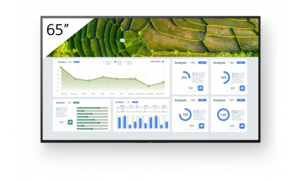 Sony FW-65BZ30L, Digital fladpaneldisplay, 165,1 cm (65), LCD, 3840 x 2160 pixel, Wi-Fi, 24/7