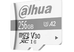Dahua Technologie P100, 64 Gb, Microsd, Klasse 10, Uhs-I, 100 Mb/S, 80 Mb/S