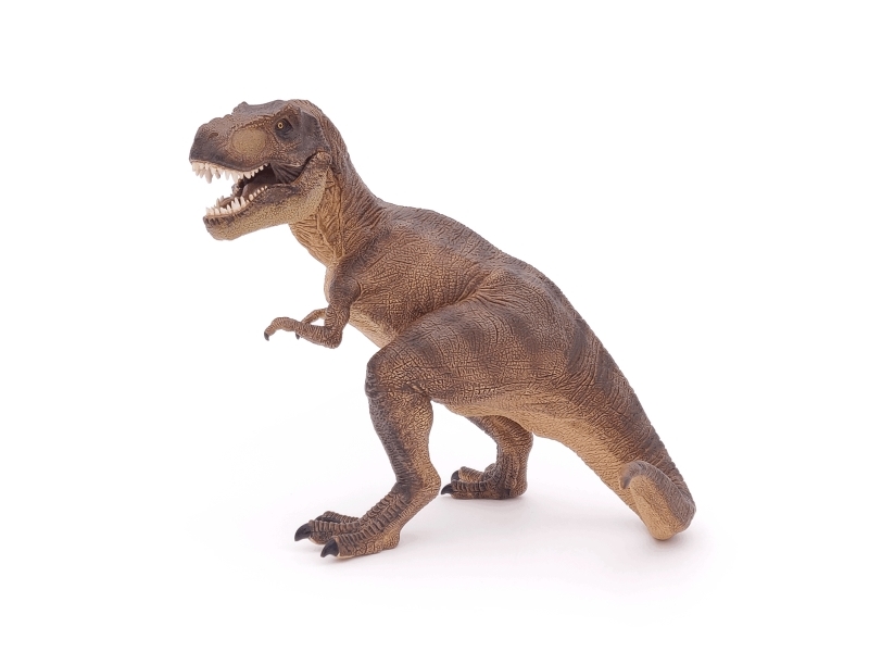 Papo 55001, 3 Jahre, Dinosaurier, Braun, Pvc