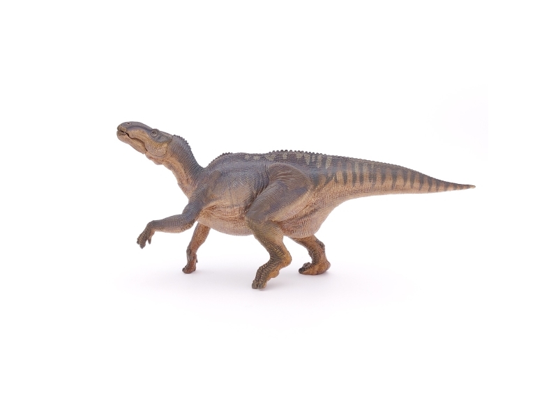 Papo 55071, 29 G