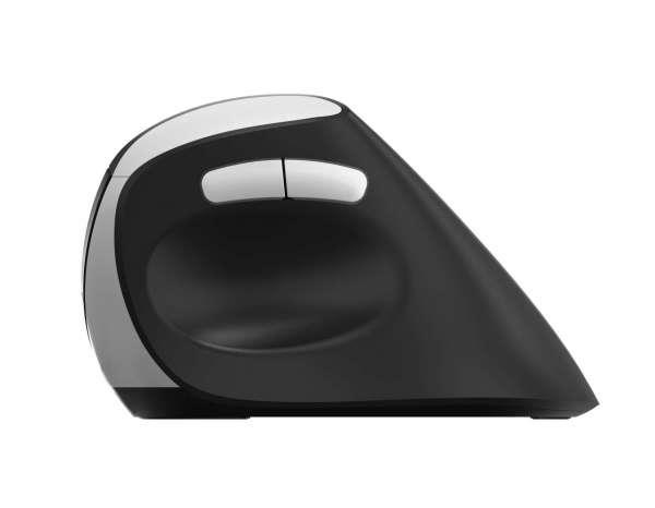 Rapoo Ev250, Rechts, Optisch, Rf Wireless, 1600 Dpi, Schwarz, Silber