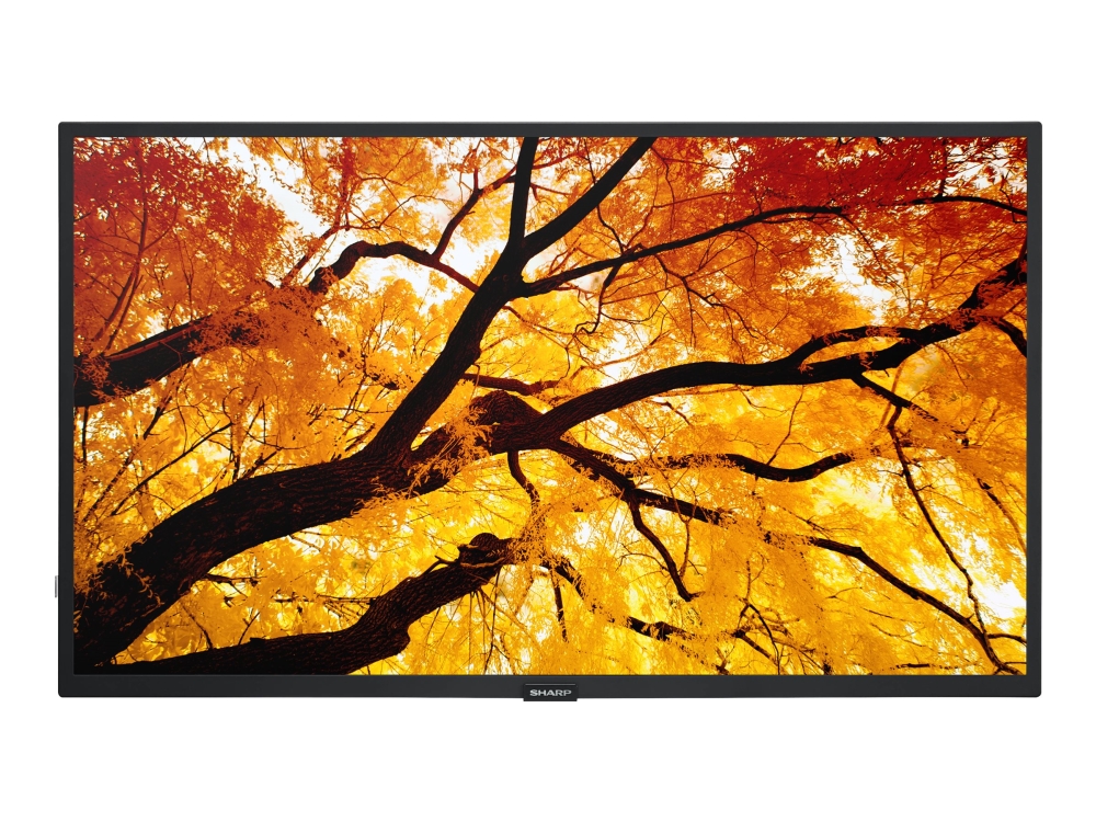 Sharp/Nec Multisync M322