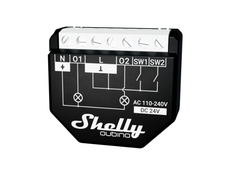 Shelly Qubino Wave 2Pm