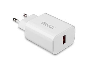 Lindy 73412, Drinnen, Draußen, Ac, 12 V, Weiß