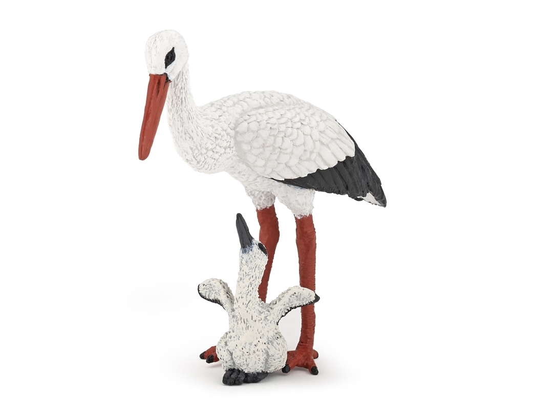Storch Mit Jungen
