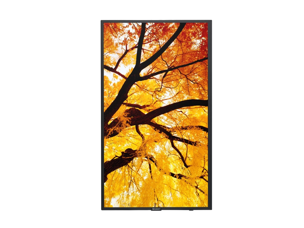 Sharp/Nec Multisync M322
