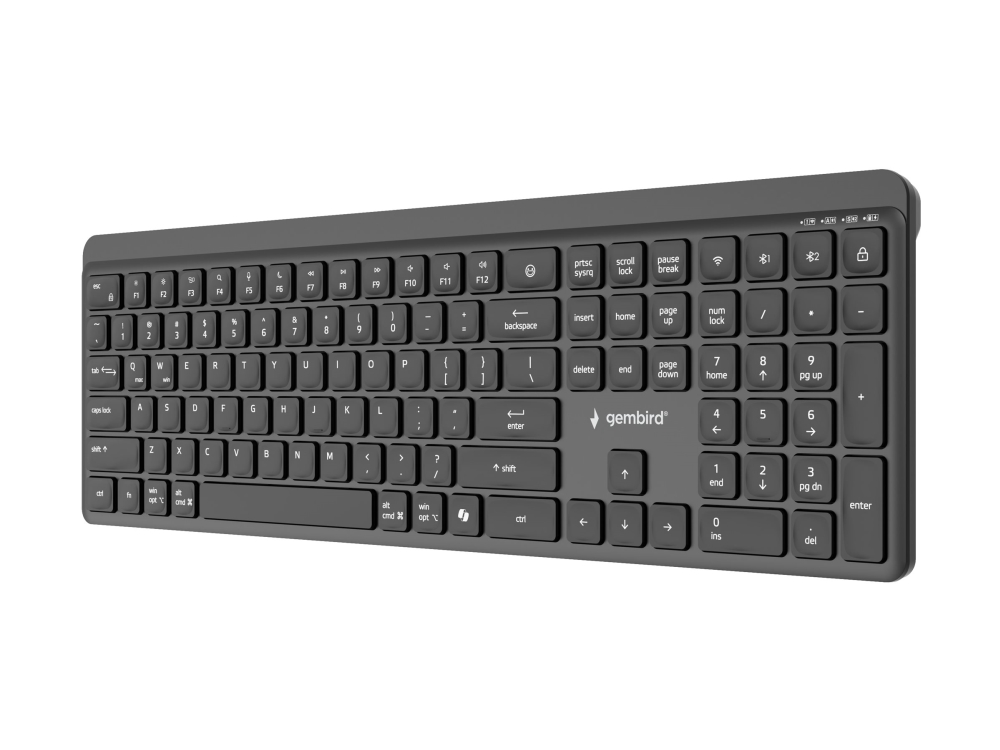 Gembird Kb-Wps-03, Volle Größe (100%), Kabellos, Rf Wireless + Bluetooth, Qwerty, Schwarz