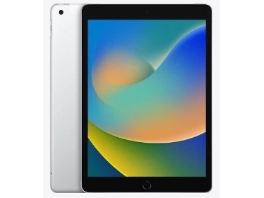 Refurbished Apple Ipad 9 256Gb Wifi (Silber) – Zustand: Grade B