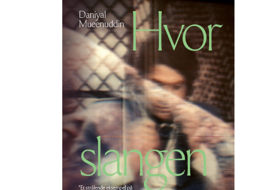 Hvor Slangen Bor | Daniyal Mueenuddin