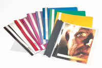 Durable Clear View Folder 2570 A4, Blå