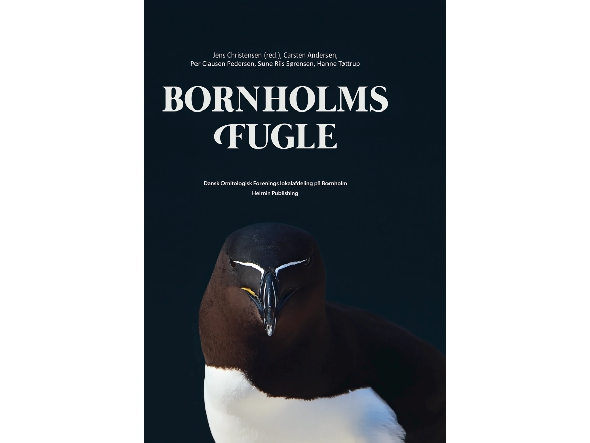 Bornholms Fugle | Jens Christensen, Carsten Andersen, Per Clausen Pedersen, Sune Riis Sørensen, Hanne Tøttrup