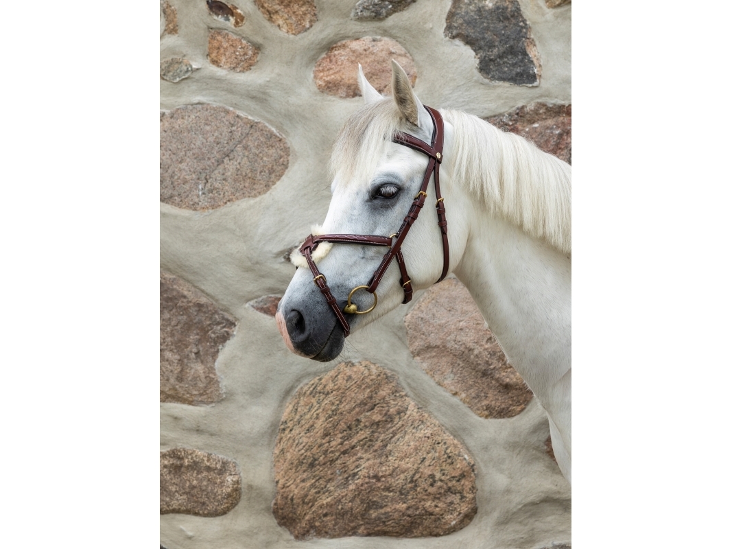 Jacson Milano-Trens, Mexicansk Cob