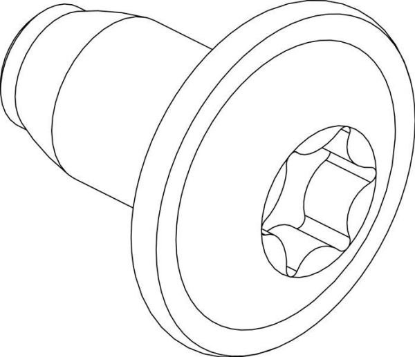 CUBIC Skrue, gevindformende, torx, flange, pakke med 500 stk.