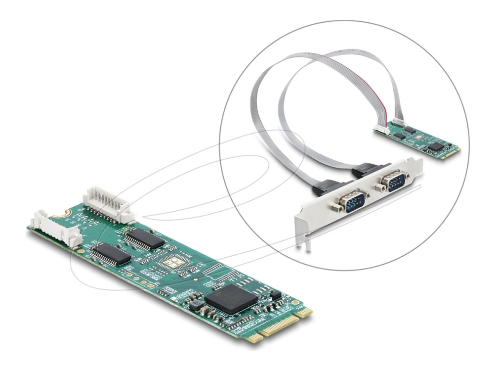Delock - Seriel Adapter - M.2 2280 Lavprofil - Rs-232 X 2 - Grøn