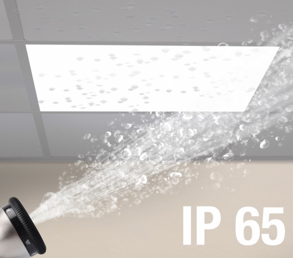 LEDUSED IP65, Indbyg, 36W, 4000lm, 4000K, CRI 80-89, Opal optik med rengøringsvenlig overflade, DALI-2, Klasse II, 2m kabel, Hvid
