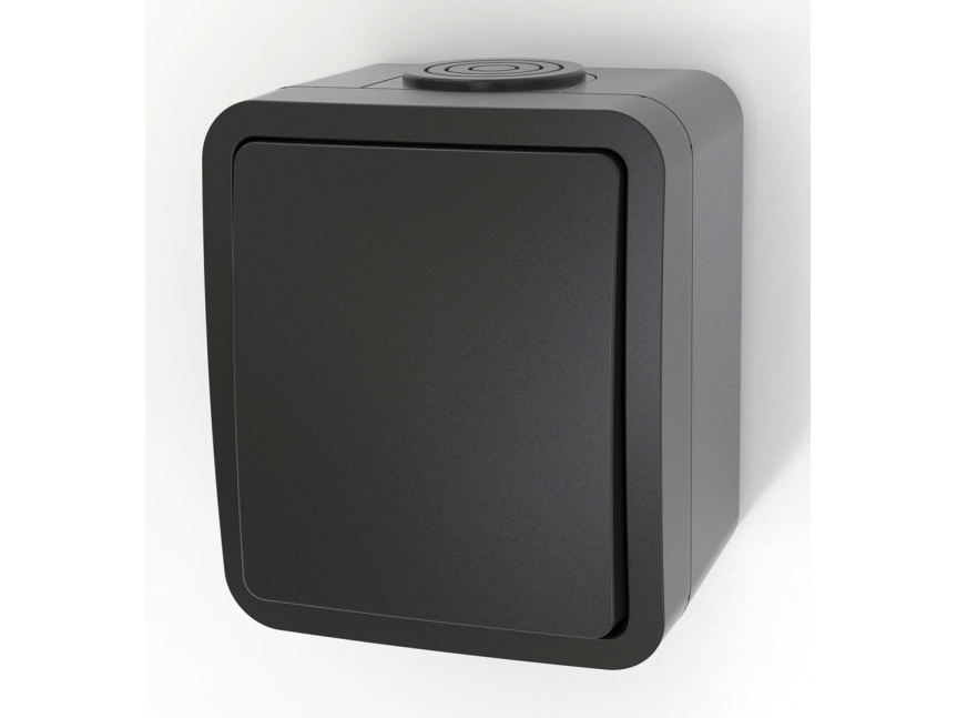 Afbryder  10A IP54 sort