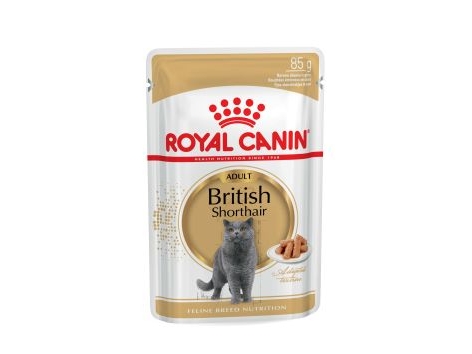 Royal Canin British Shorthair 12X85 G